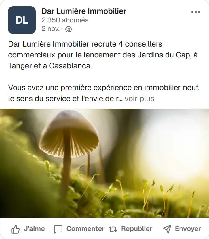 Aperçu LinkedIn d'un article de Dar Lumière Immobilier dans l'éditeur de post.